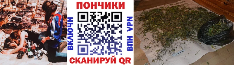 Купить  Старица  Шишки марихуана гибрид 